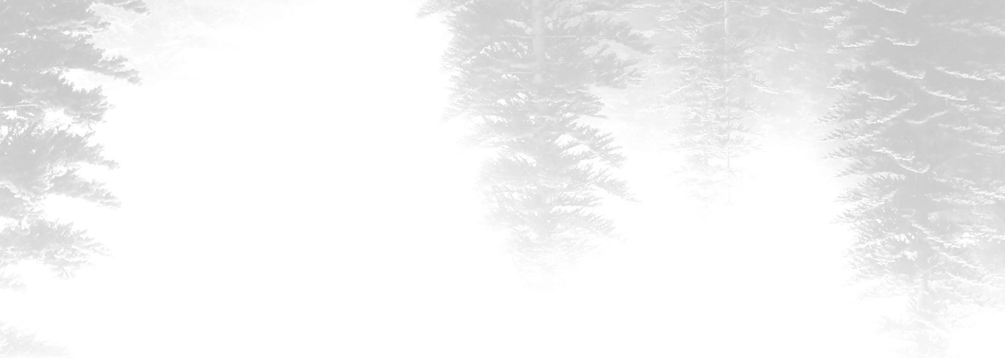 silhouette of trees